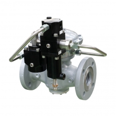 Pilot Operated Dixi Hãng Pietro Fiorentini