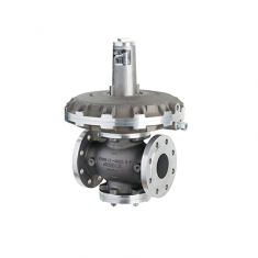 Van điều chỉnh áp suất R100, R100U, R100 UD Medenus